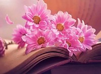 „Bucuria se ascunde în lucrurile mici”.